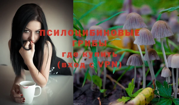 соль курить ск Алексеевка