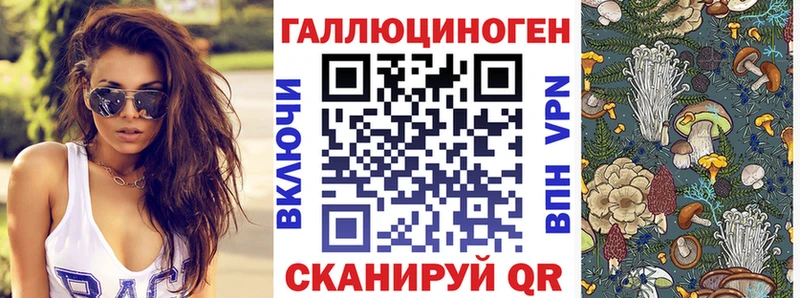 сколько стоит  Кашин  MEGA онион  Галлюциногенные грибы Psilocybe 